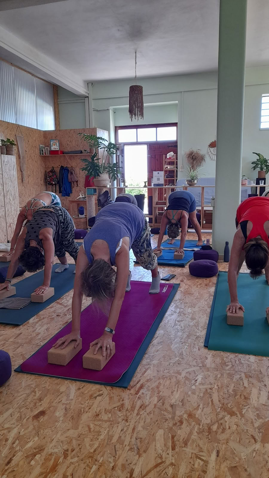 Holon Yoga