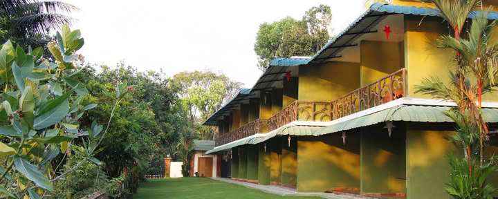 Ayurveda- en yogaretreat Olifantenpas | Resort Kerala