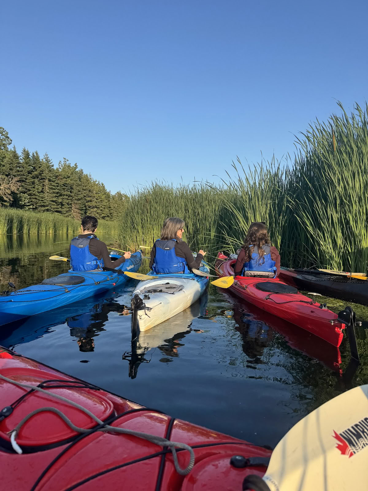 Natuurruimte Resort & Retraitecentrum
