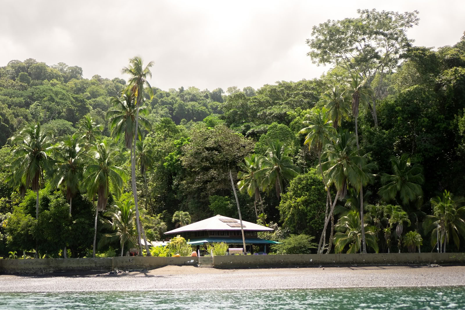 Pandorita Costa Rica - Ayahuasca-workshops