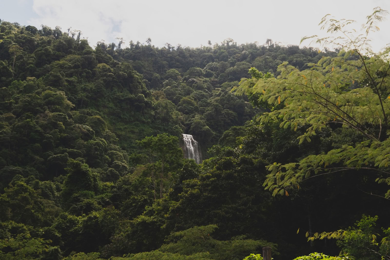 Finca Shambhala Biologisch