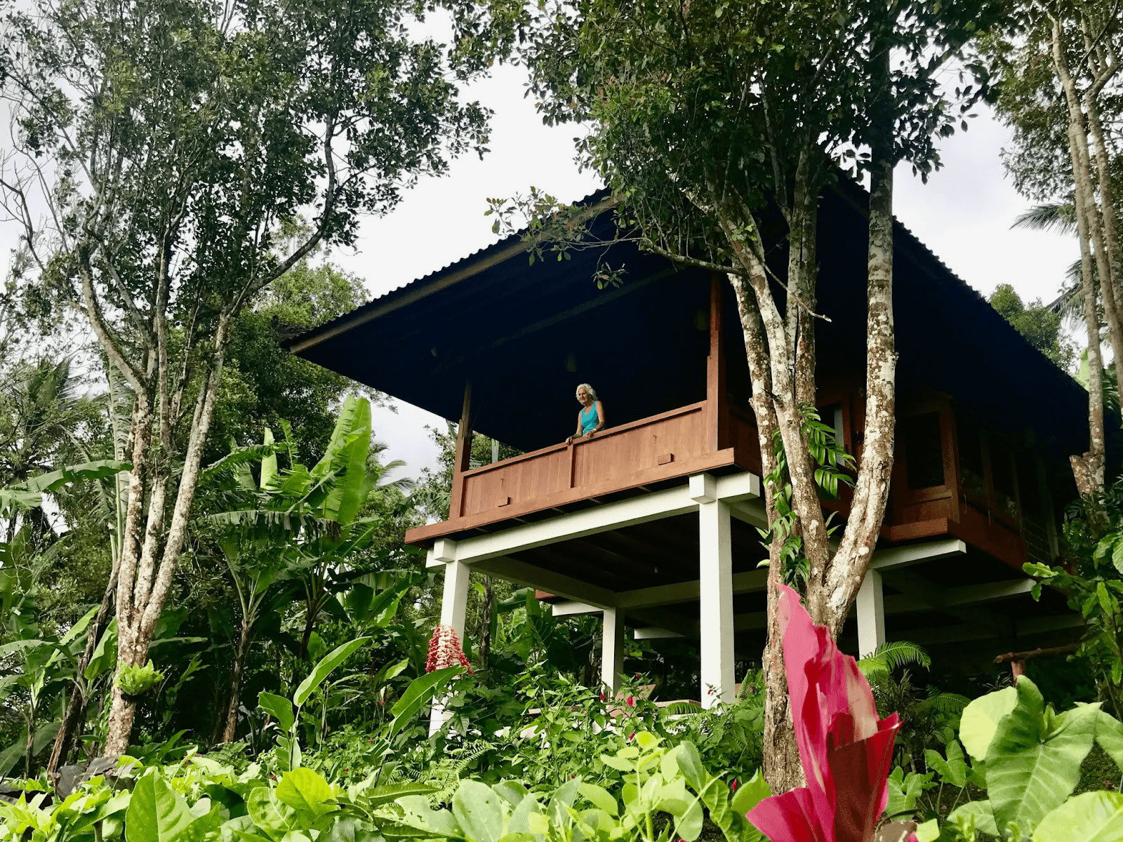 Kruidnagelboomheuvel - Bali Eco Resort