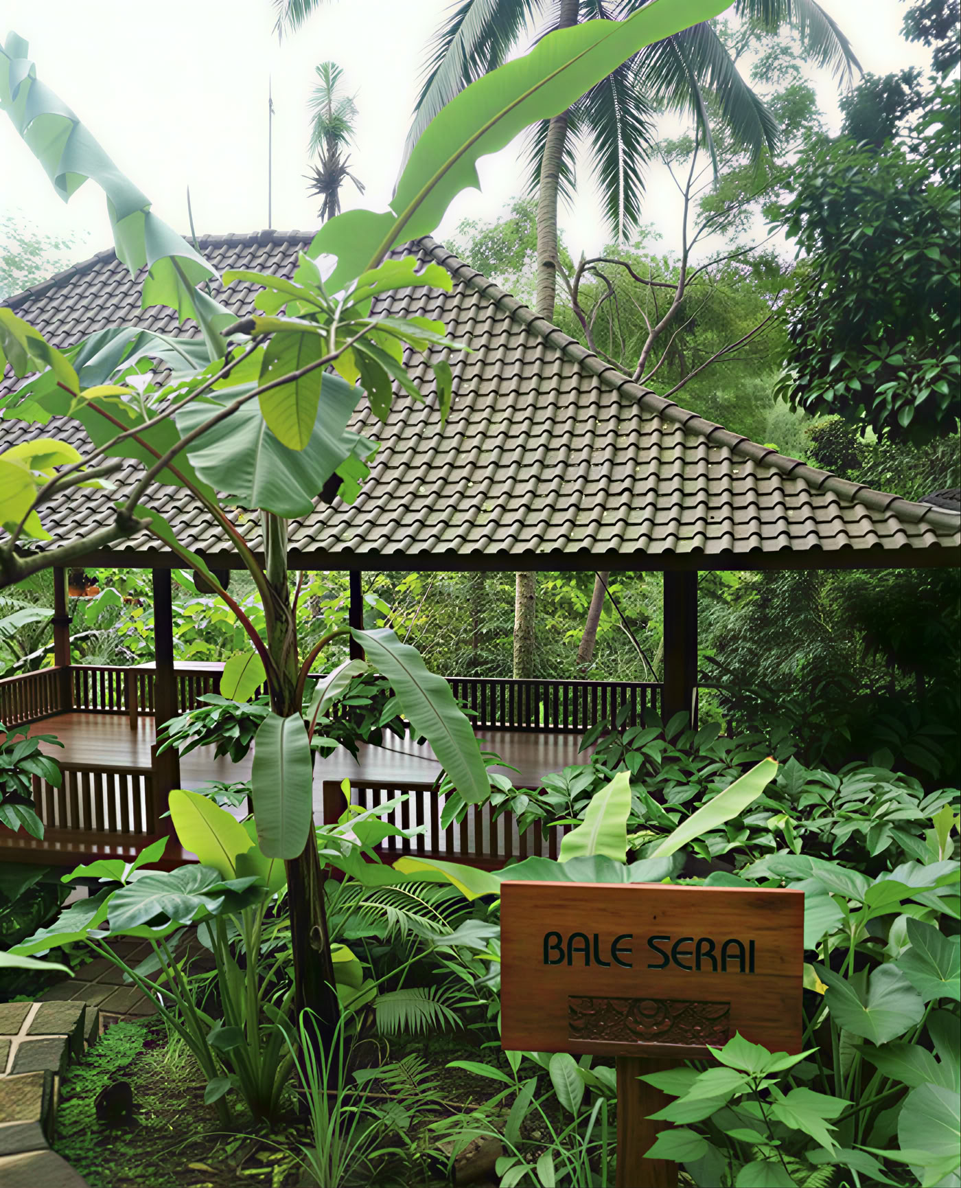 Kruidnagelboomheuvel - Bali Eco Resort