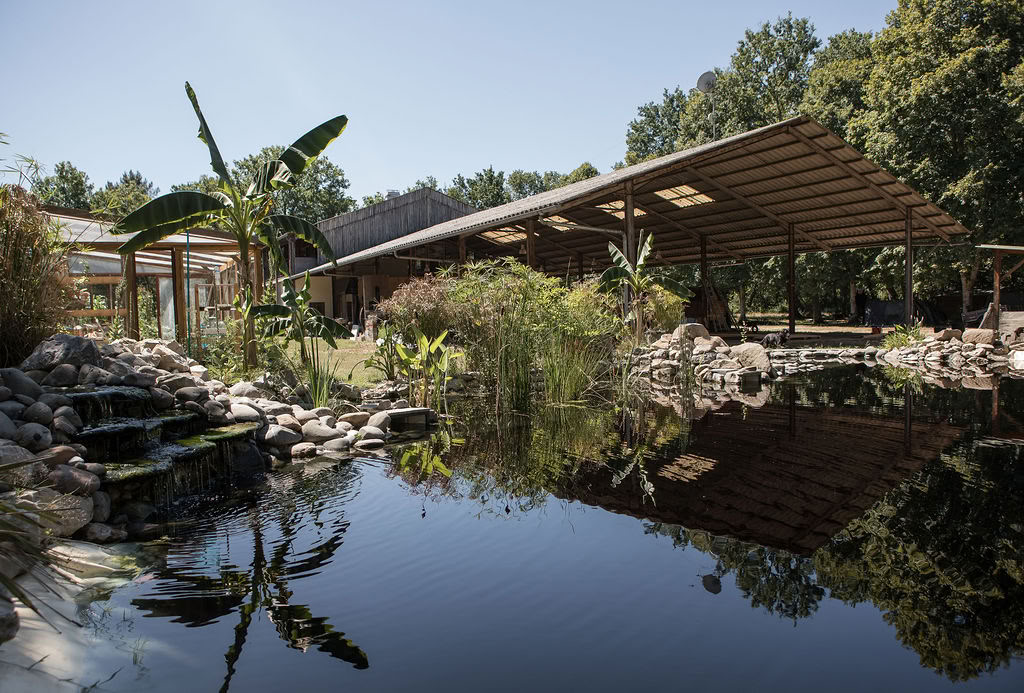 Hangar Project - Yoga & Surf