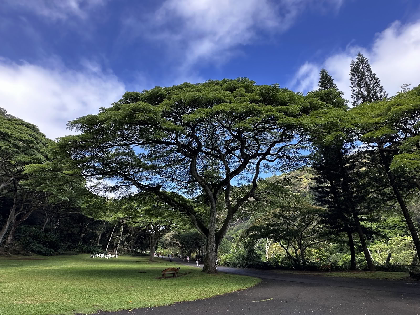 De missie North Shore