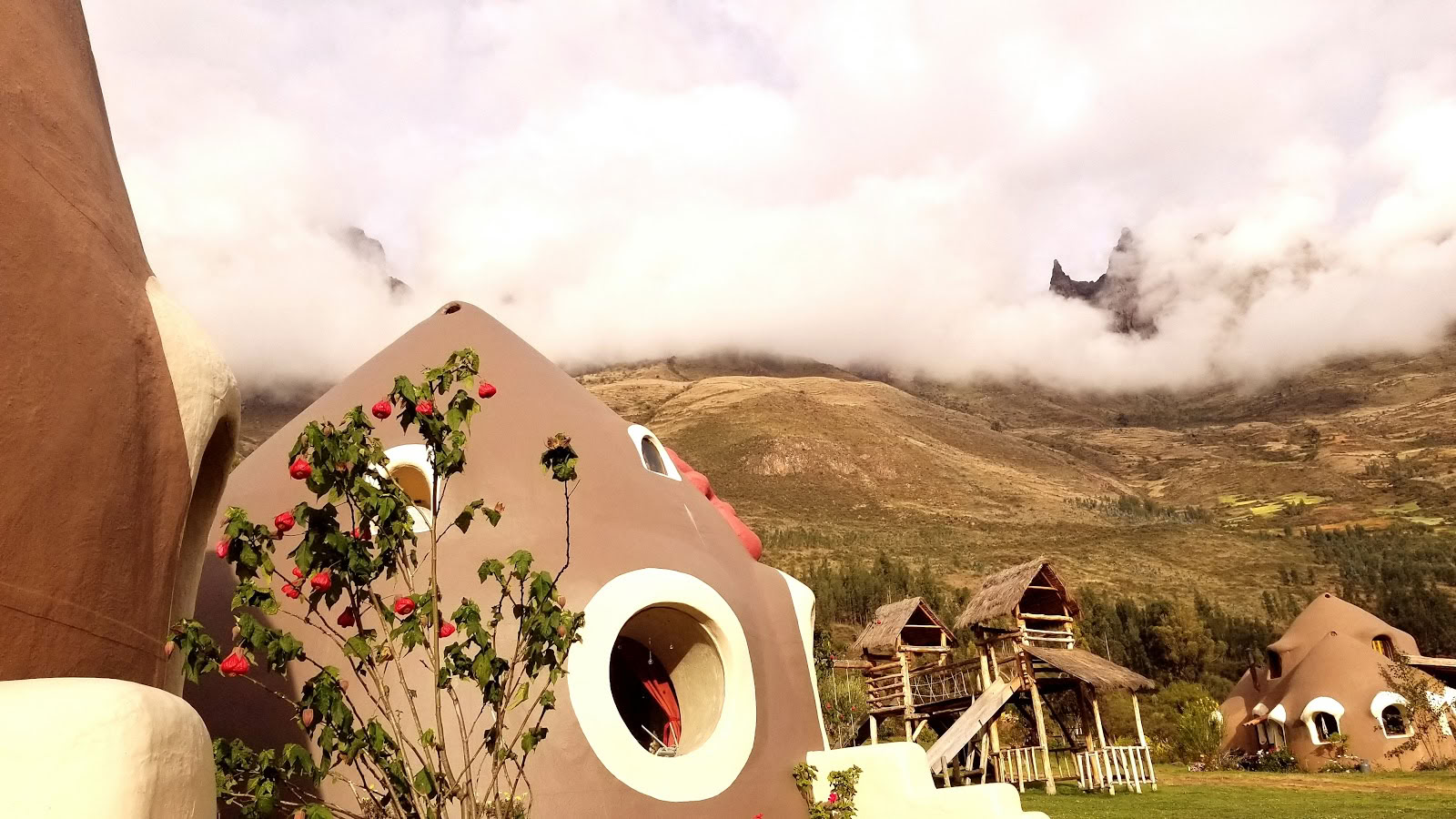 Heilige Vallei Stam | Ayahuasca-huis