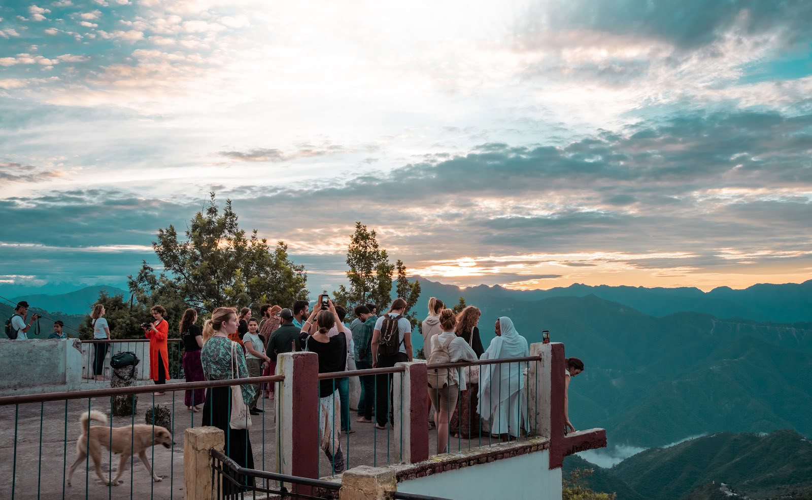 Samadhi Yoga Ashram - Beste Yogaschool in Rishikesh, India