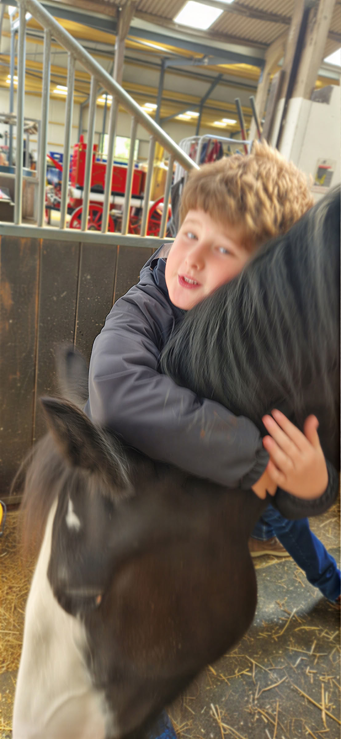 Mediteer met Paarden Ltd