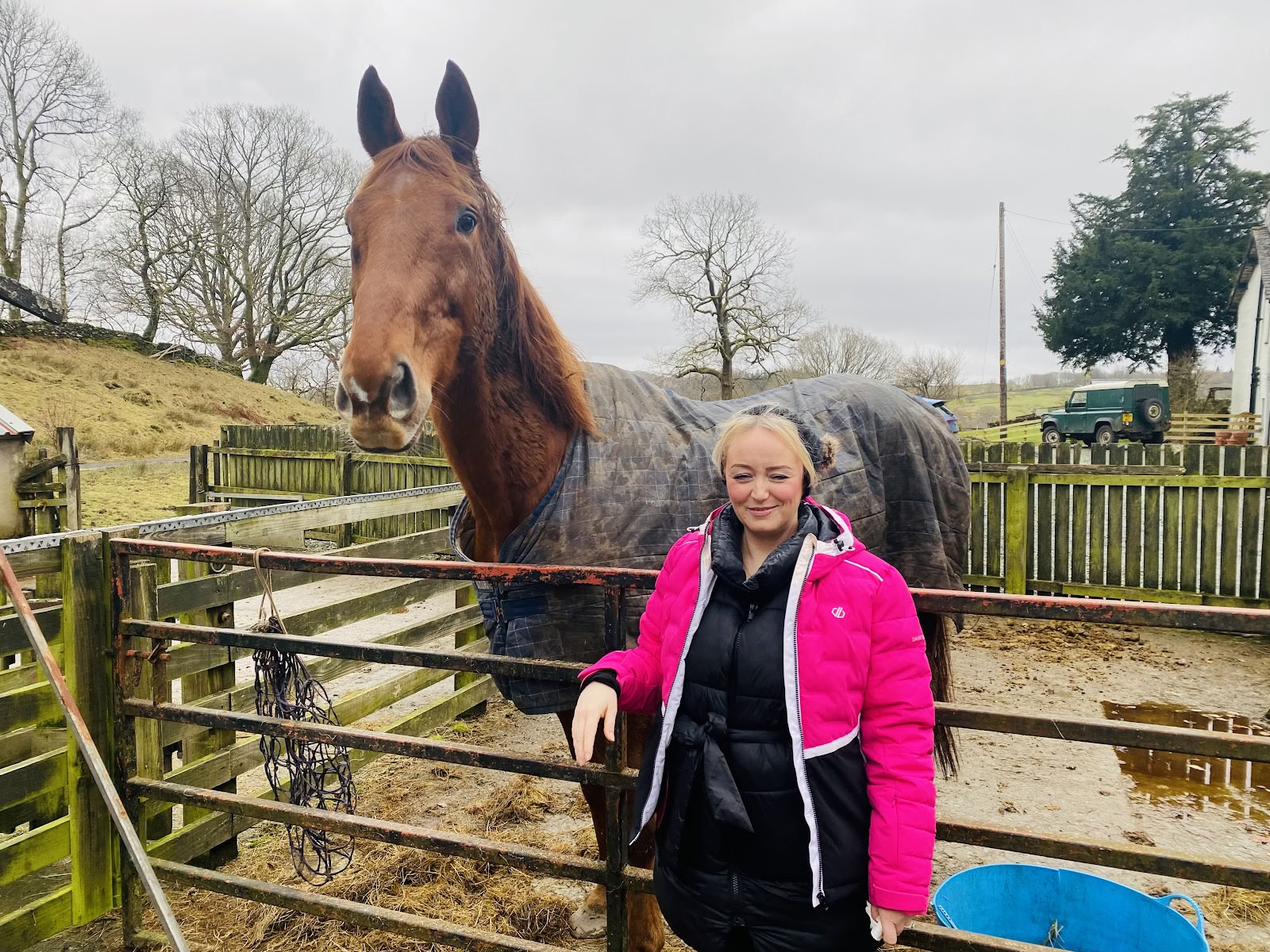 Mediteer met Paarden Ltd
