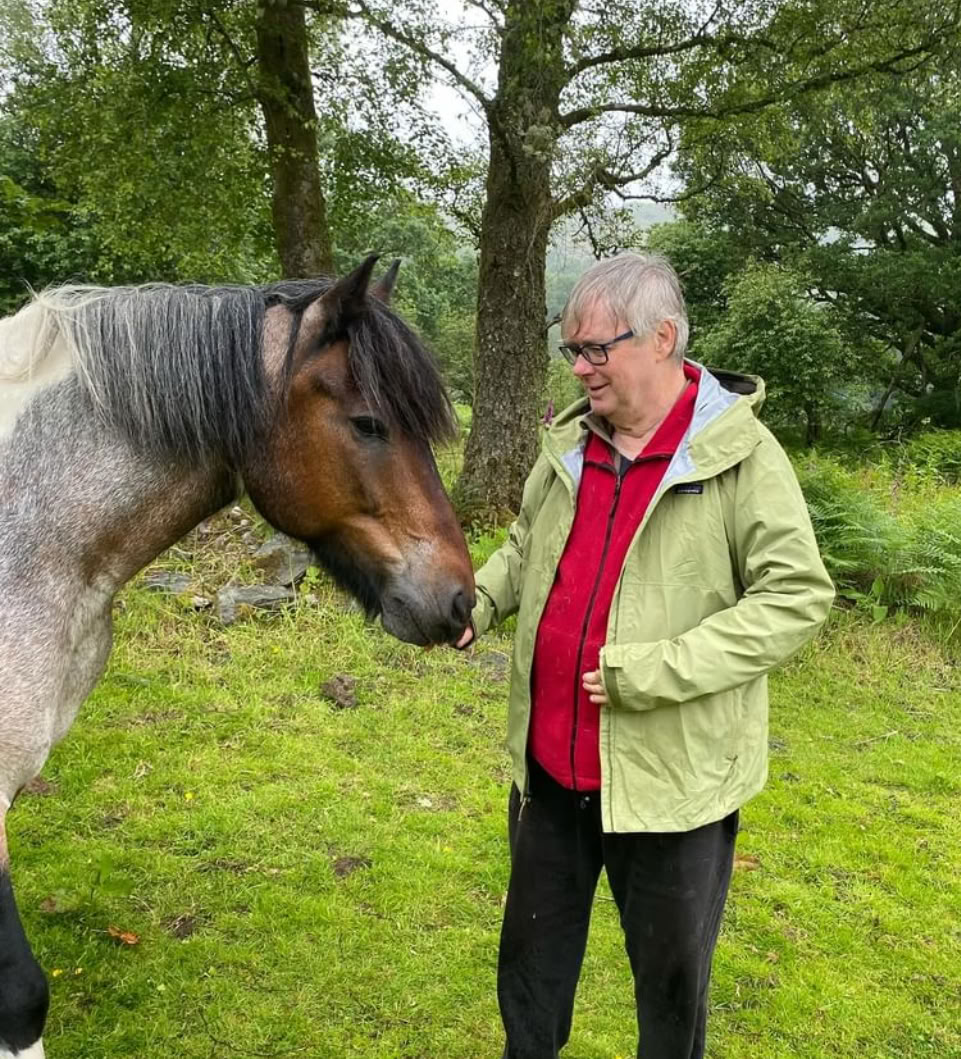 Mediteer met Paarden Ltd