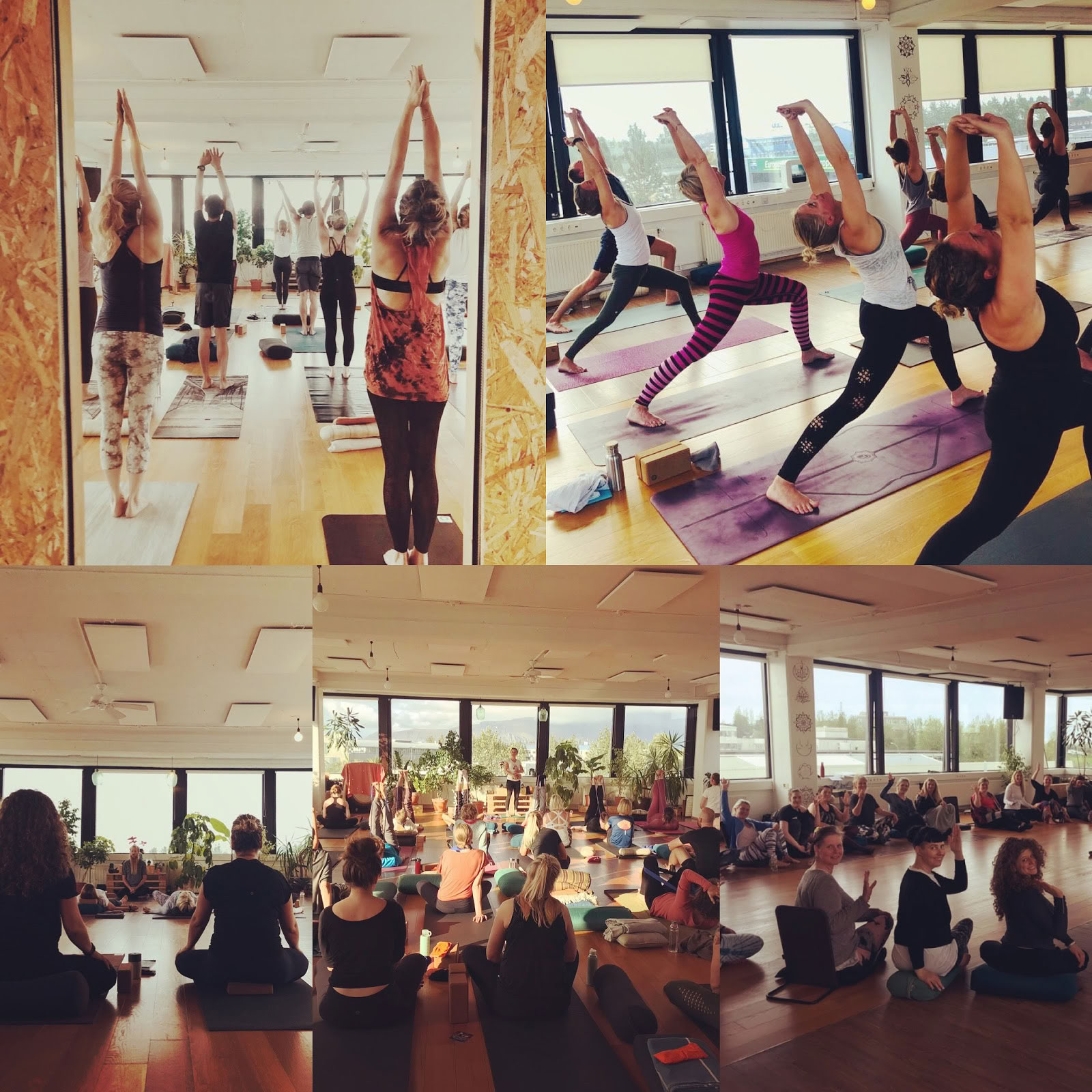 Yoga Shala Reykjavík