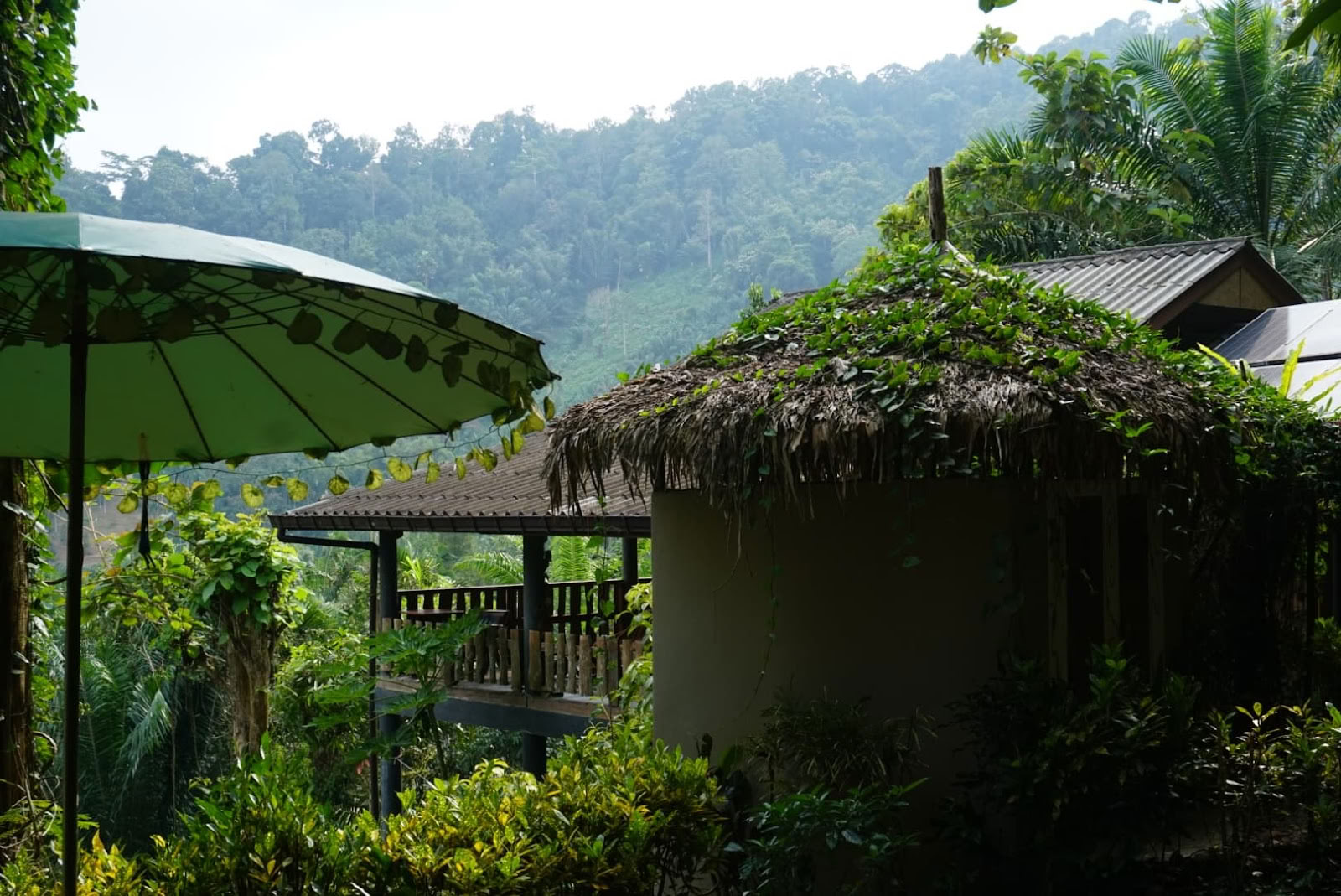 Eco-Logic Thailand