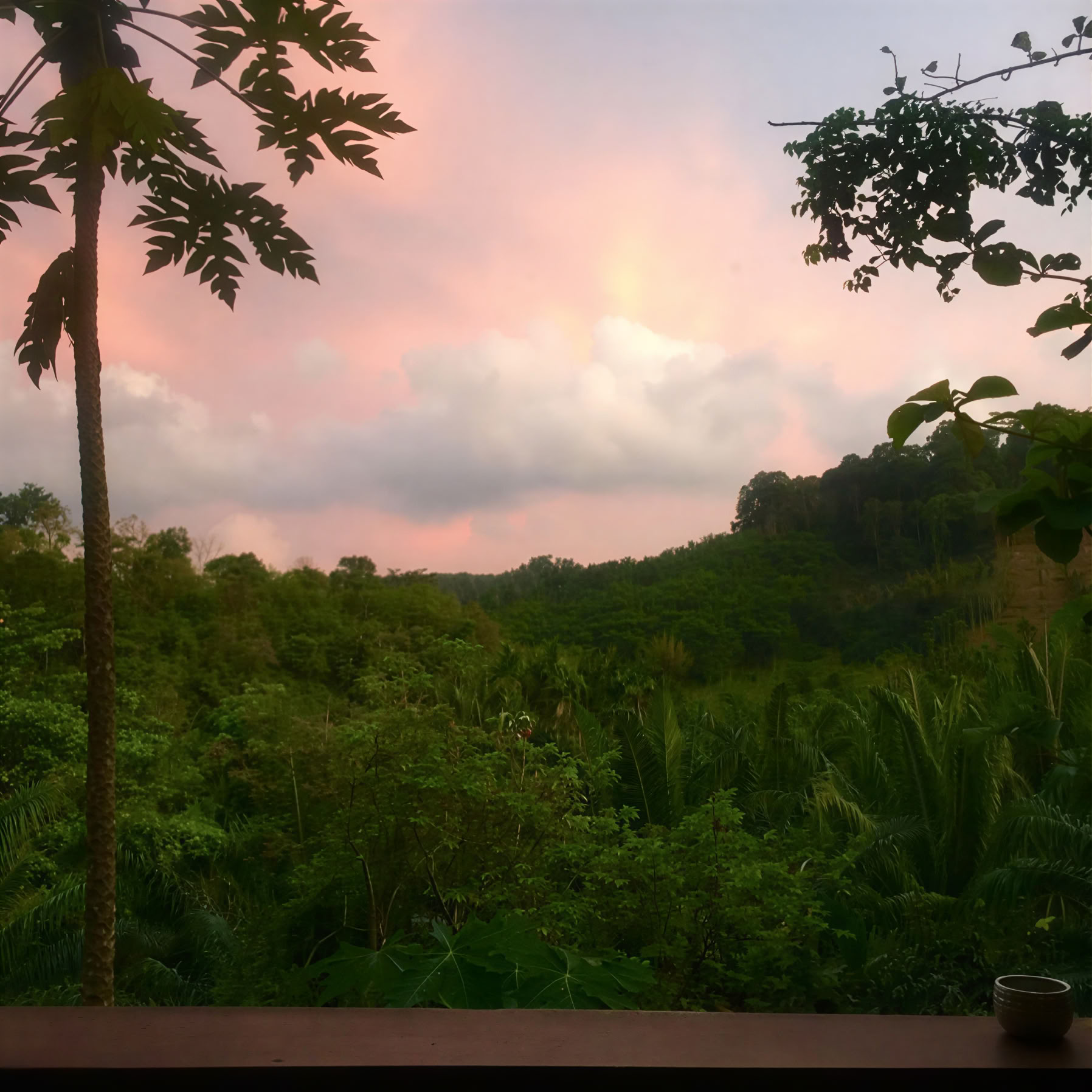 Eco-Logic Thailand
