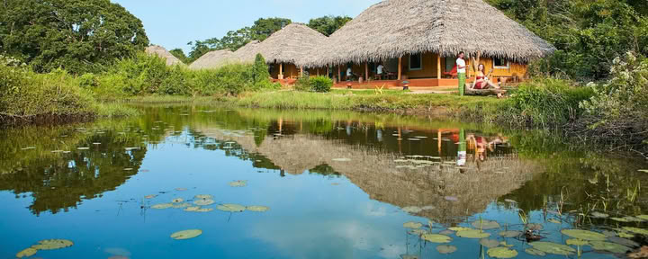 Amuna Ayurveda- en wellnessretreat