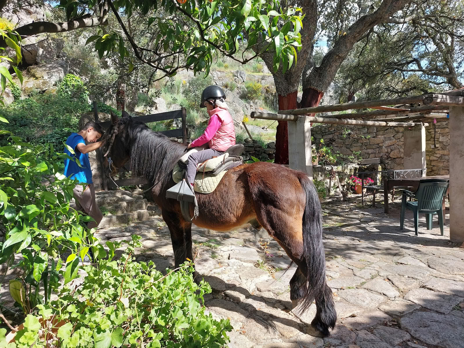 Marvão-paarden