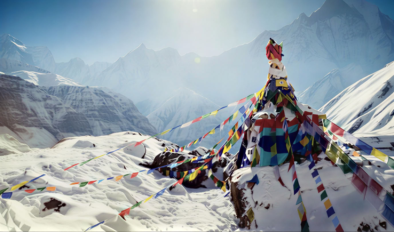 Drijfhout Avontuurlijke Trektochten