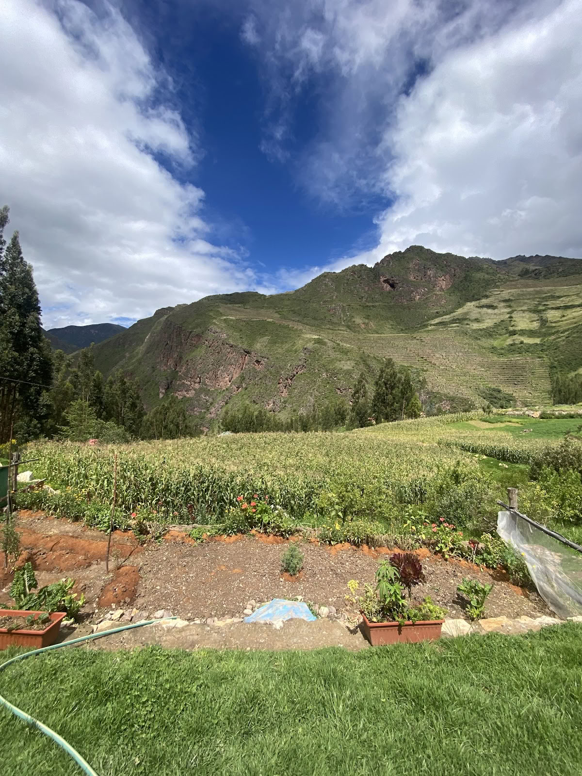 Ayahuasca Spiritueel Centrum Cusco