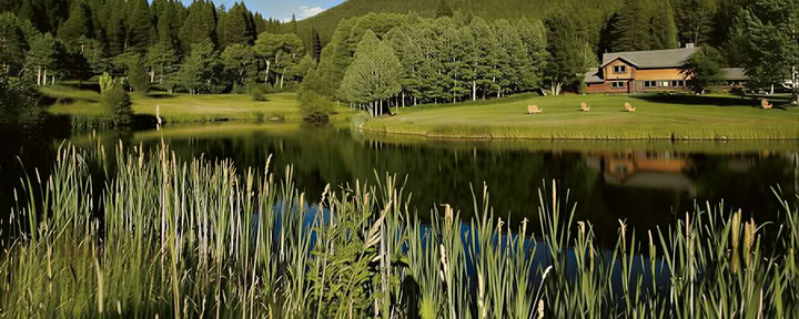 Feathered Pipe Ranch