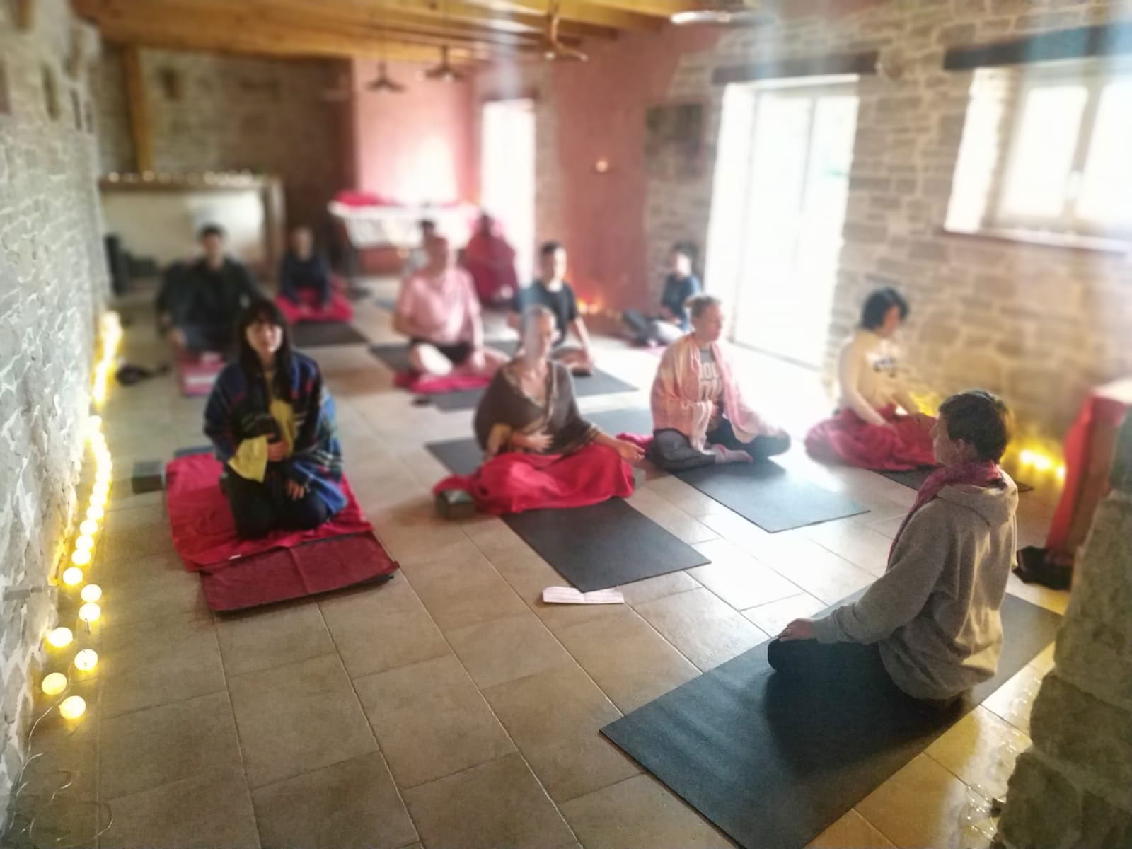 Groene yogareiziger | Yogaretraites in Kroatië en daarbuiten