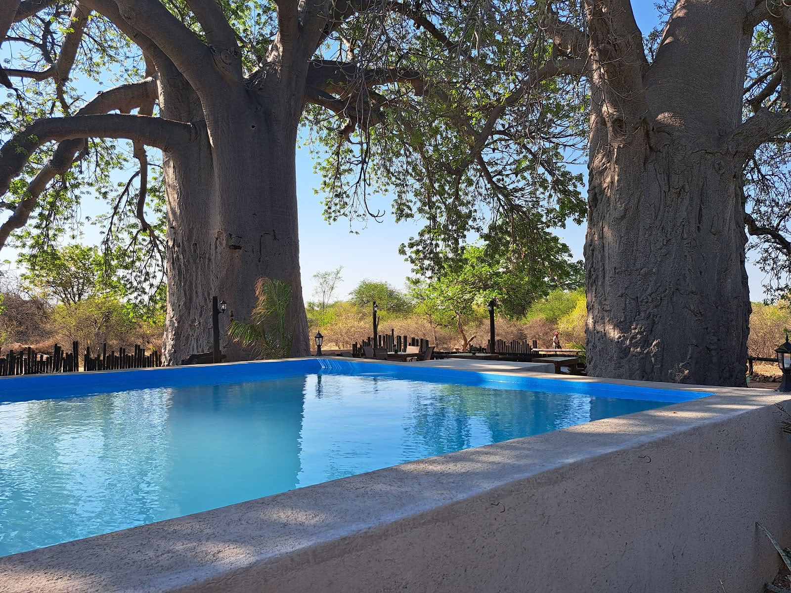 Hambana Lifestyle Lodge