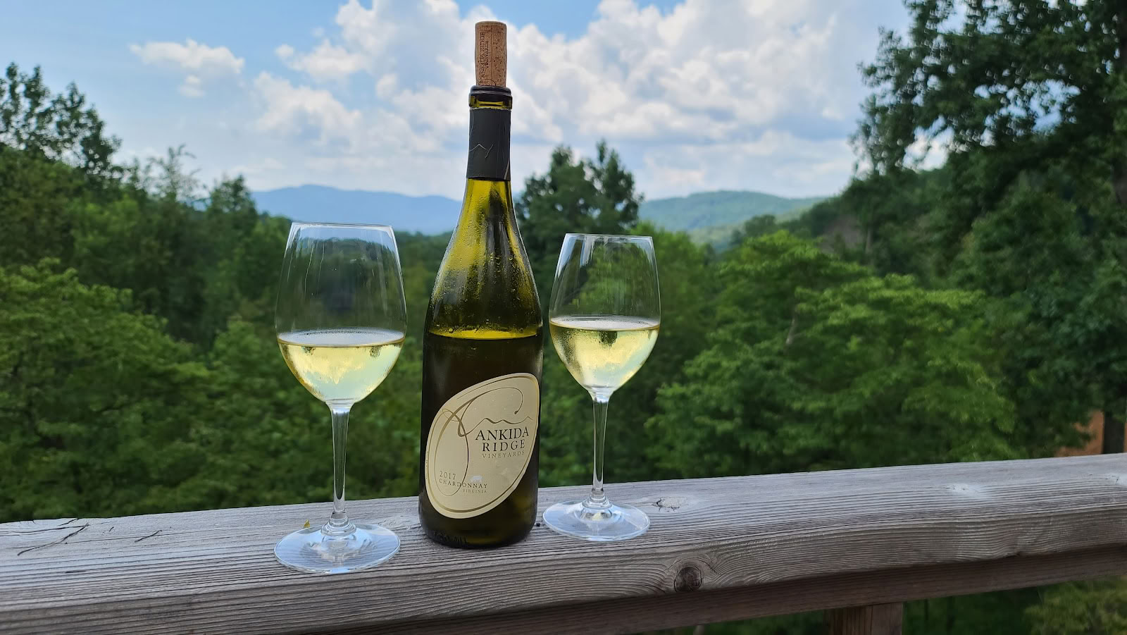 Ankida Ridge Vineyards