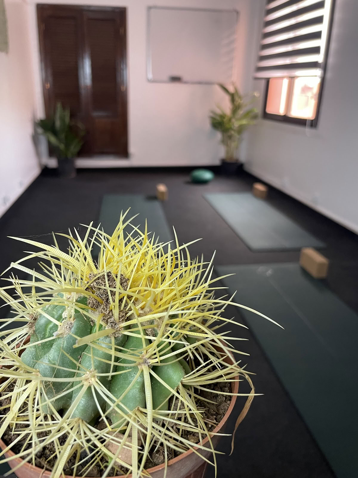 Kioze - Yoga Marrakesh, Yogastudio 100% voor vrouwen, Pilates Marrakesh, Oriëntaalse dans, Vrouwenboksen, Yogalessen Marrakesh