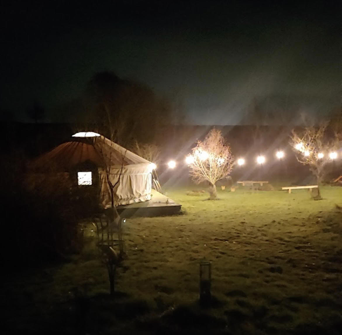 Veld van Genezing