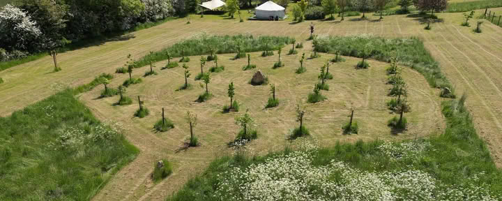 Veld van Genezing