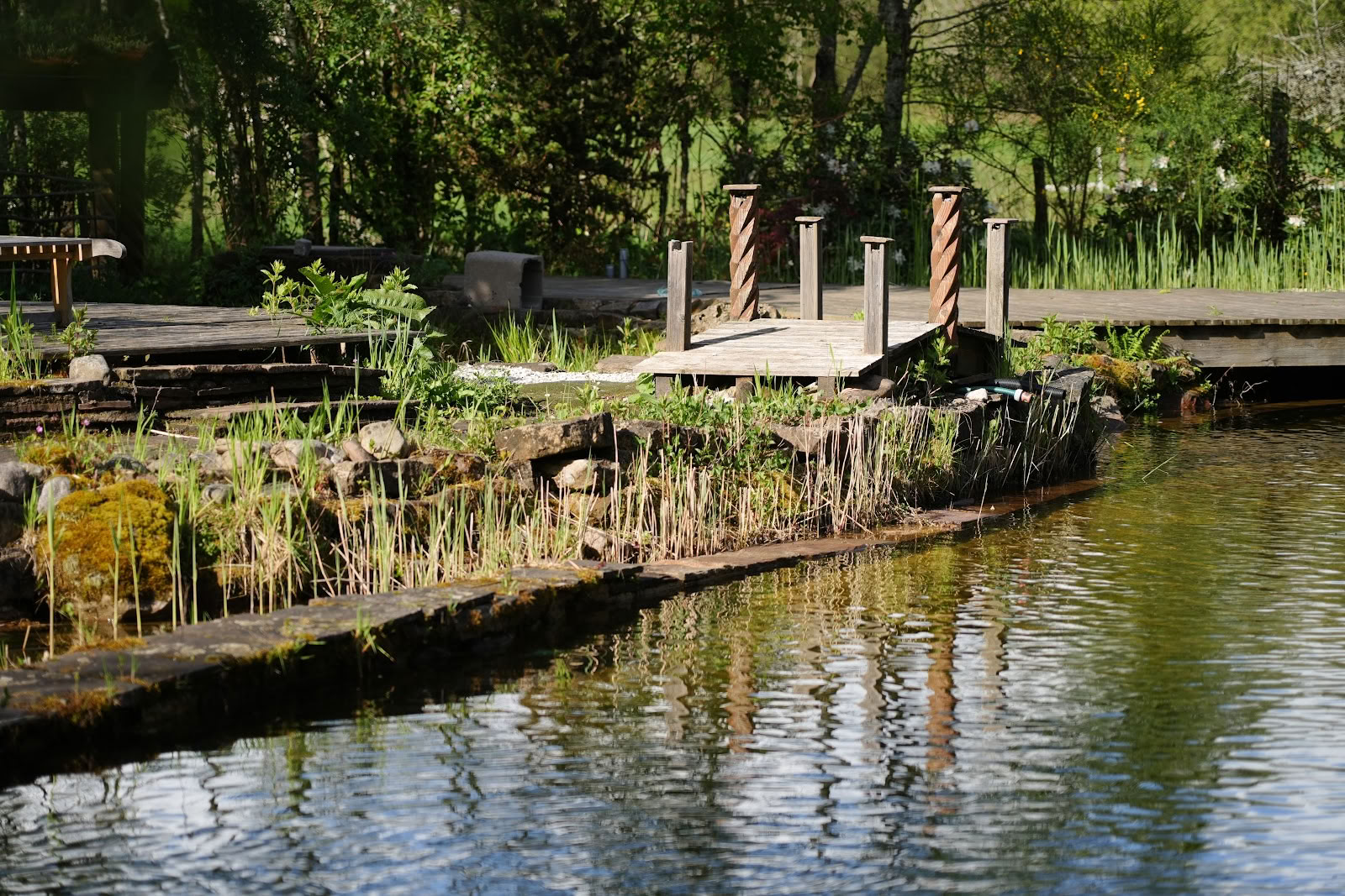De Molen van Overvloed