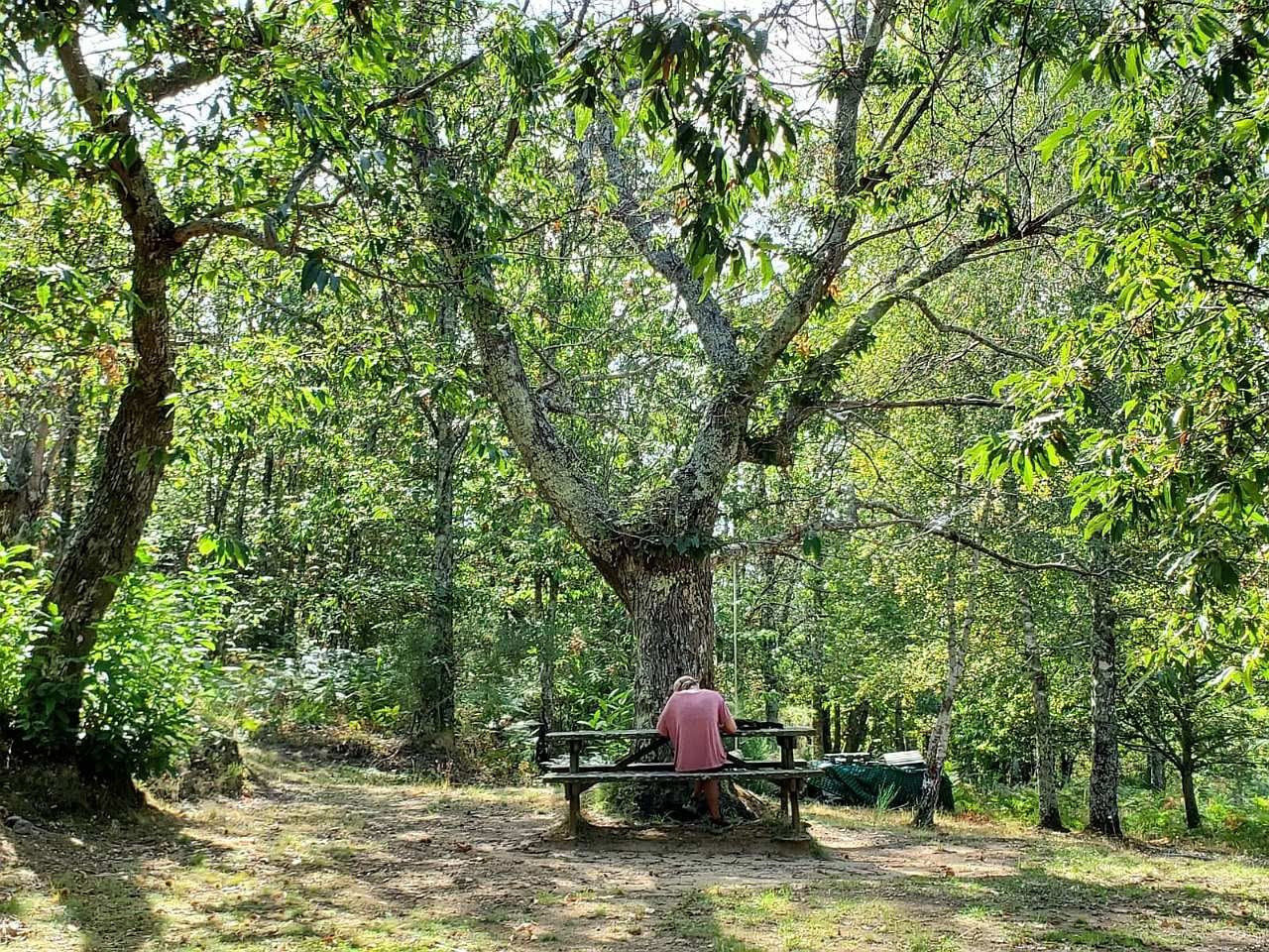 Liefde, Evolutie en Ontwaken bij Mahadevi Ashram