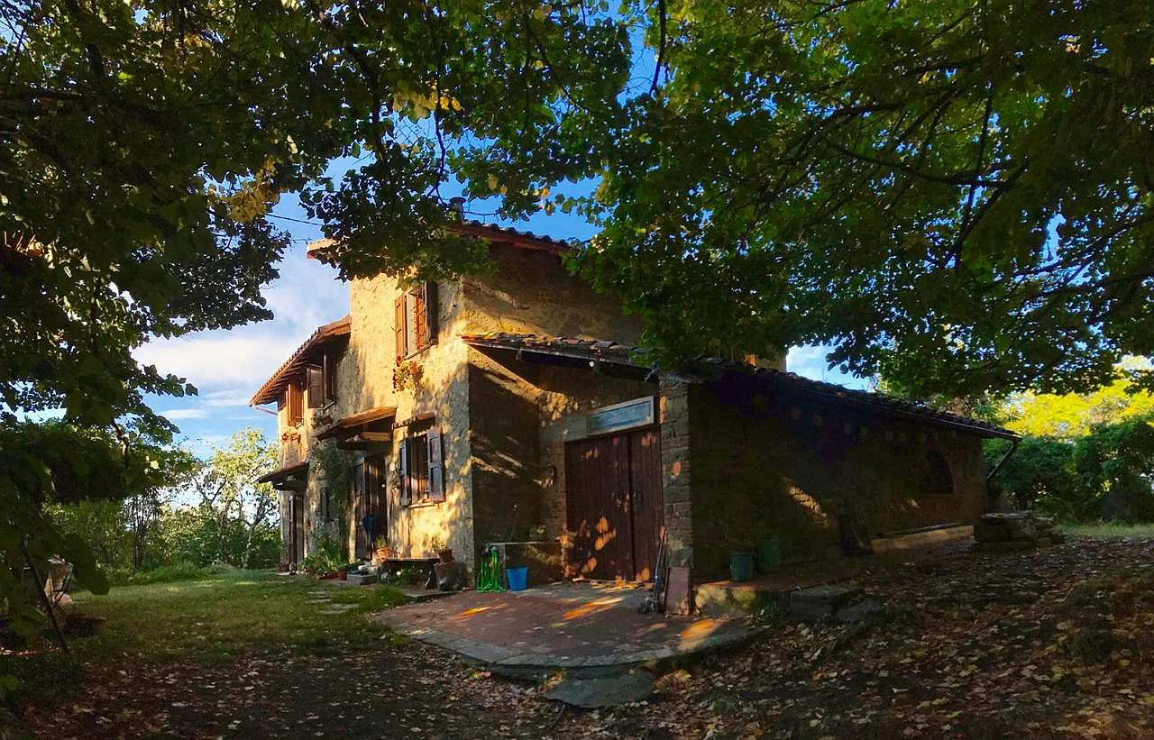 Liefde, Evolutie en Ontwaken bij Mahadevi Ashram