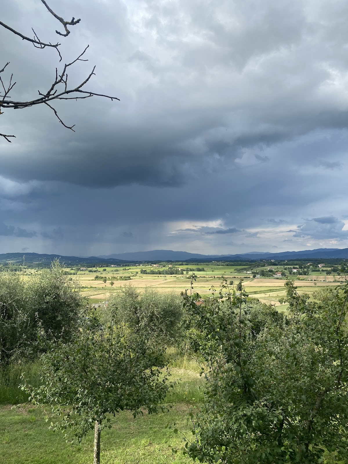 Maraviglia Bewust Leven