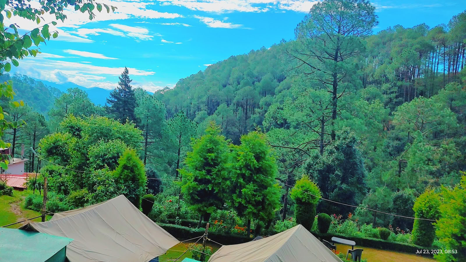 Krachtig Himalayakamp