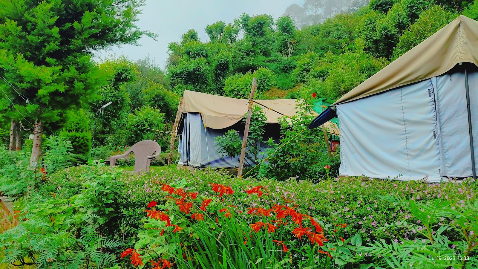 Krachtig Himalayakamp
