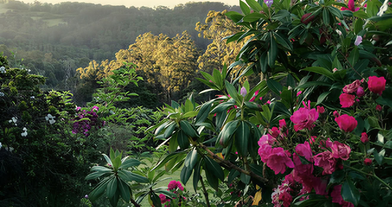 Mirador Springs Retraite