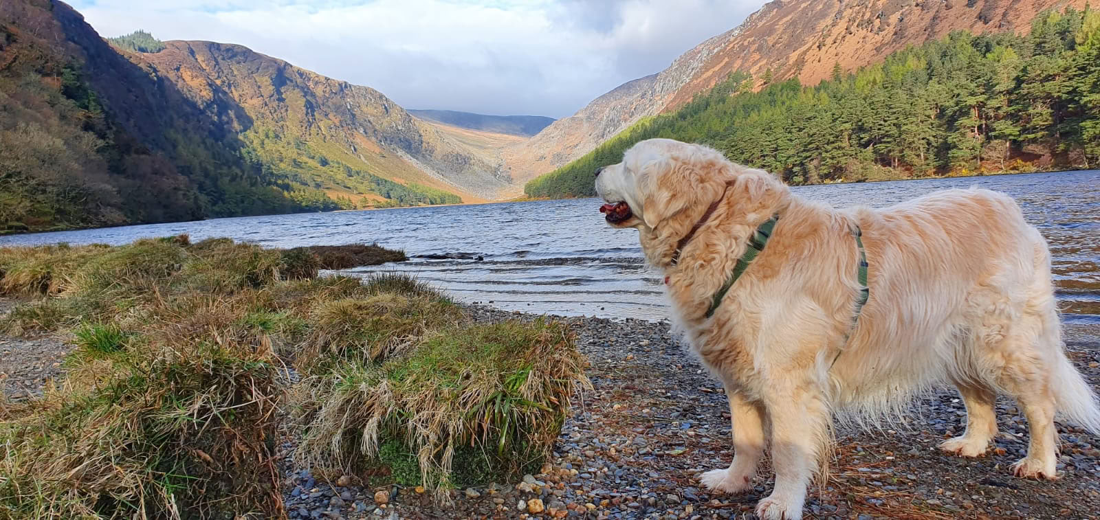 Glendalough-heiligdom