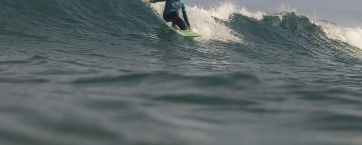Rewild Surfschool