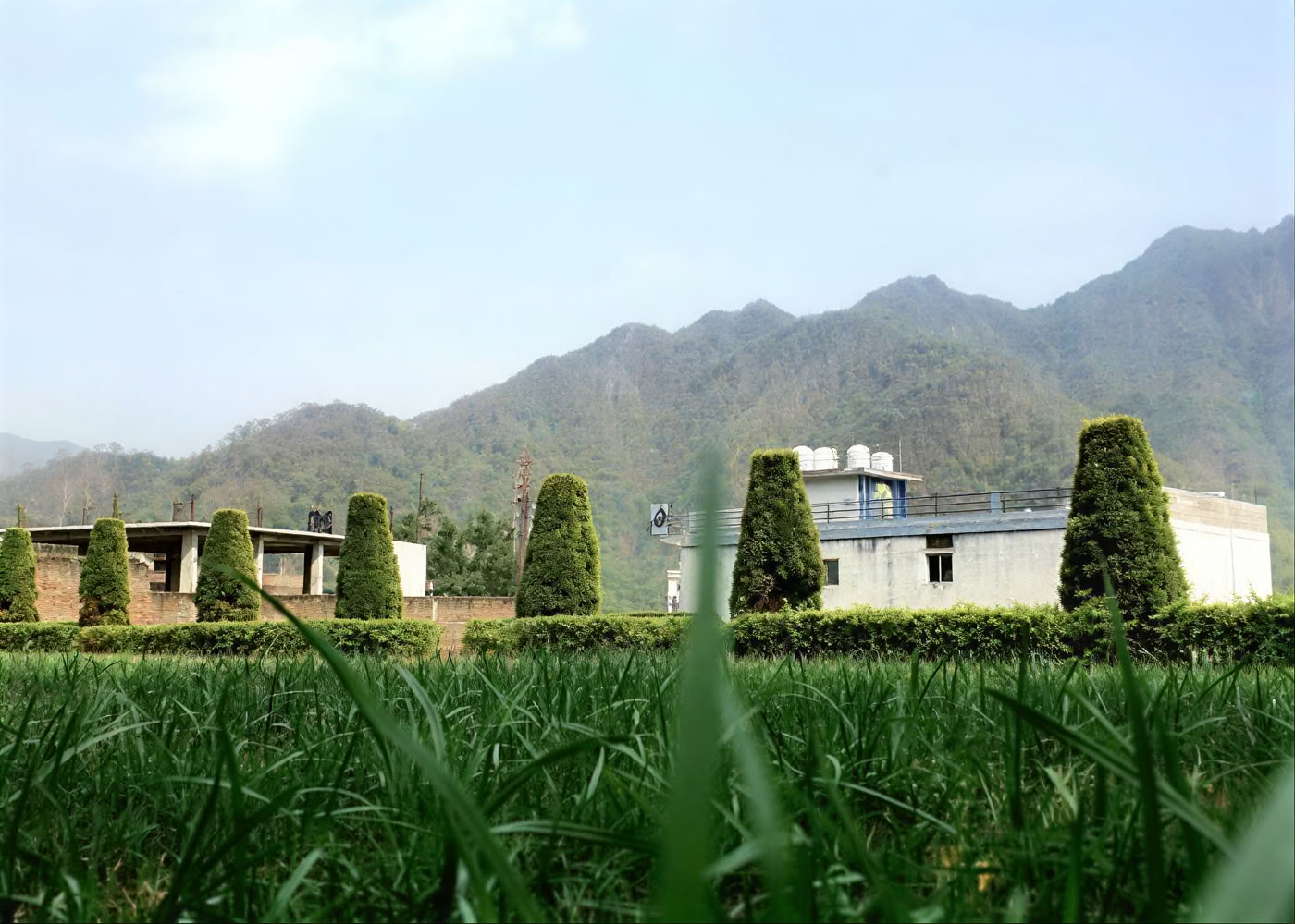 Rishikesh Vinyasa Yogashram