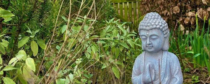 Willow Moon - Boetiekretreat