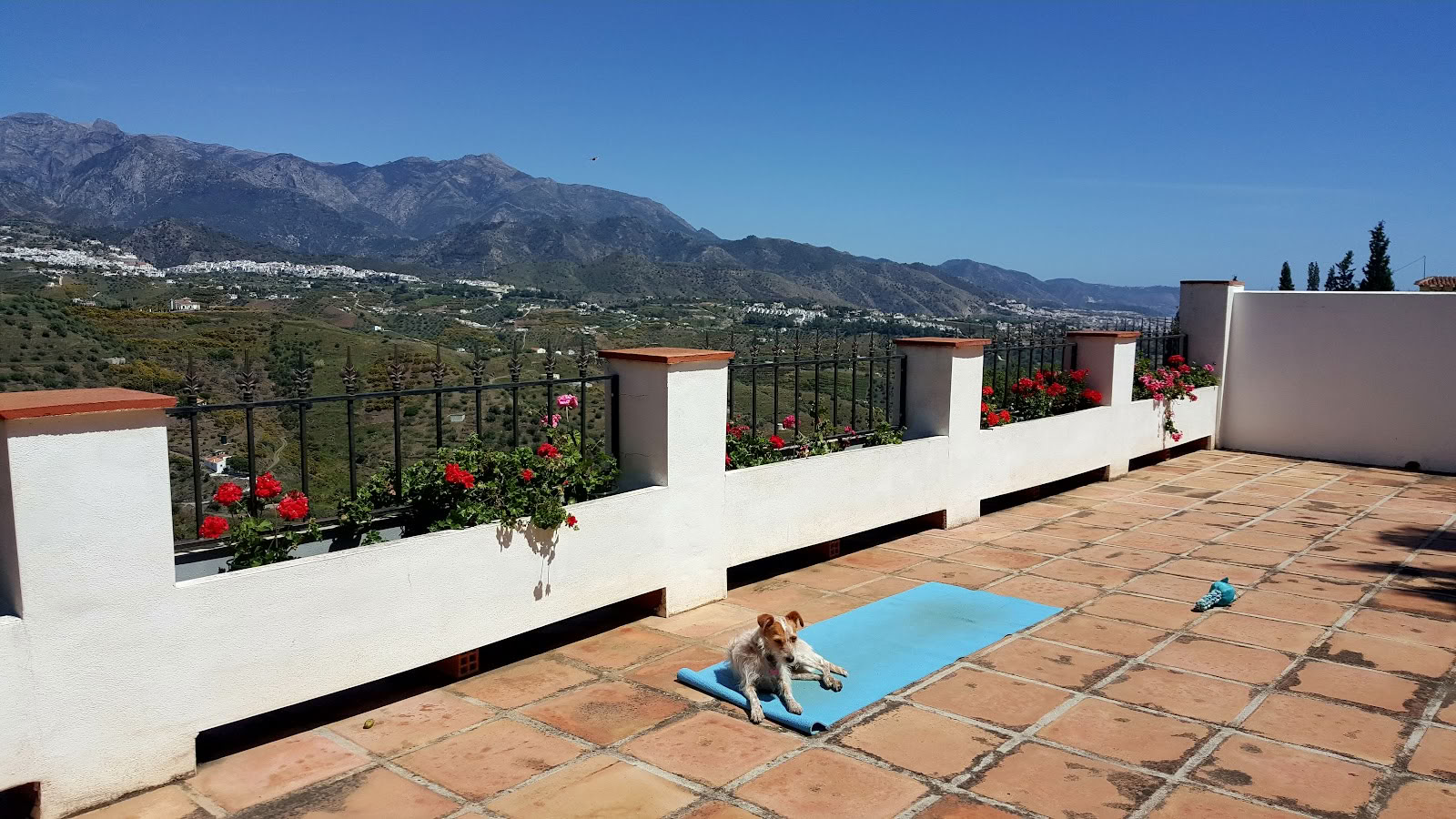Yoga-vakantie Paradiso. La Rejana