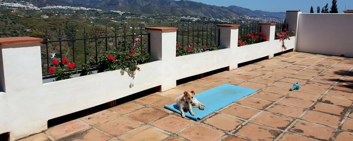 Yoga-vakantie Paradiso. La Rejana