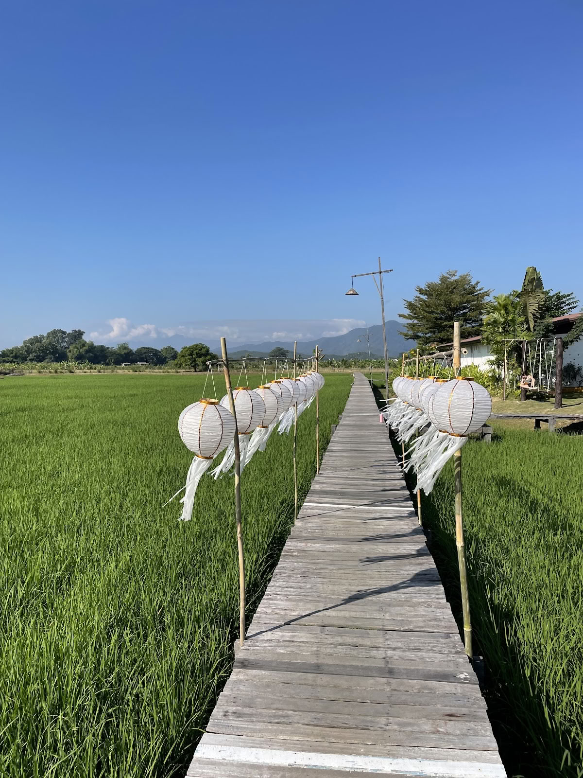 Suan Sati Yoga Retraitecentrum