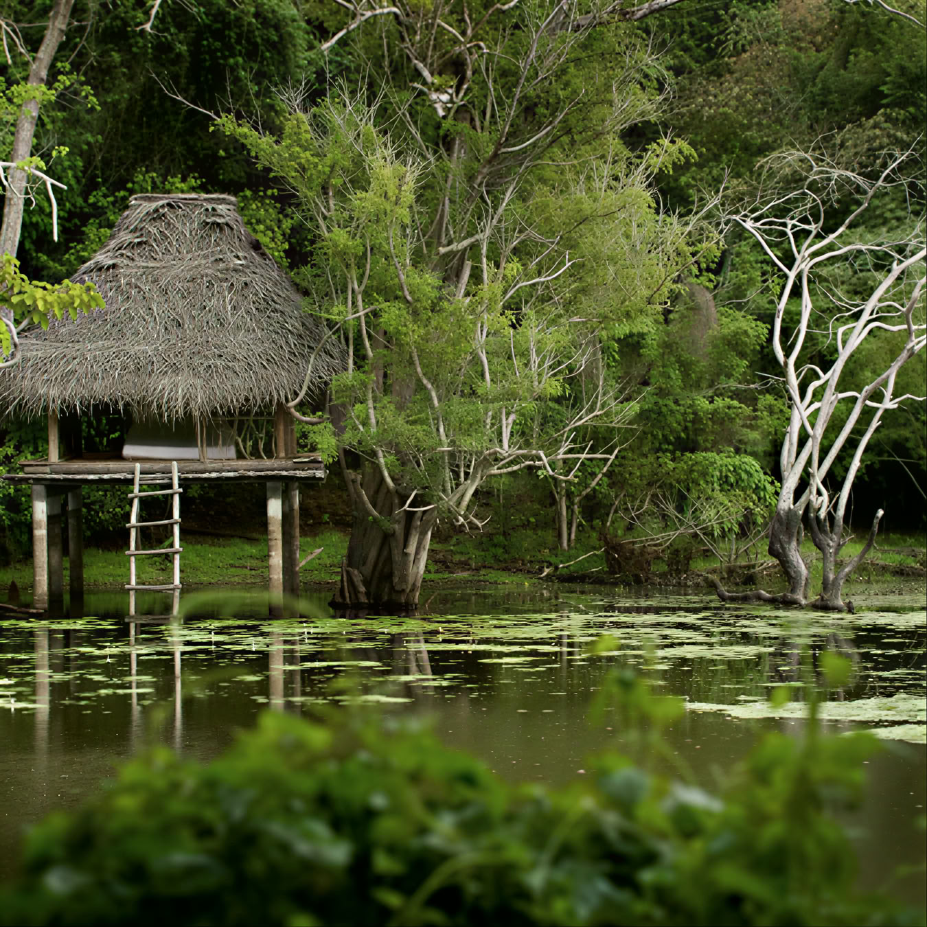 Ulpotha Yoga- en Ayurveda-retreat