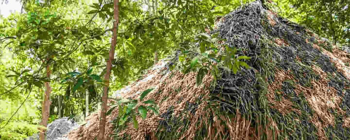Ulpotha Yoga- en Ayurveda-retreat