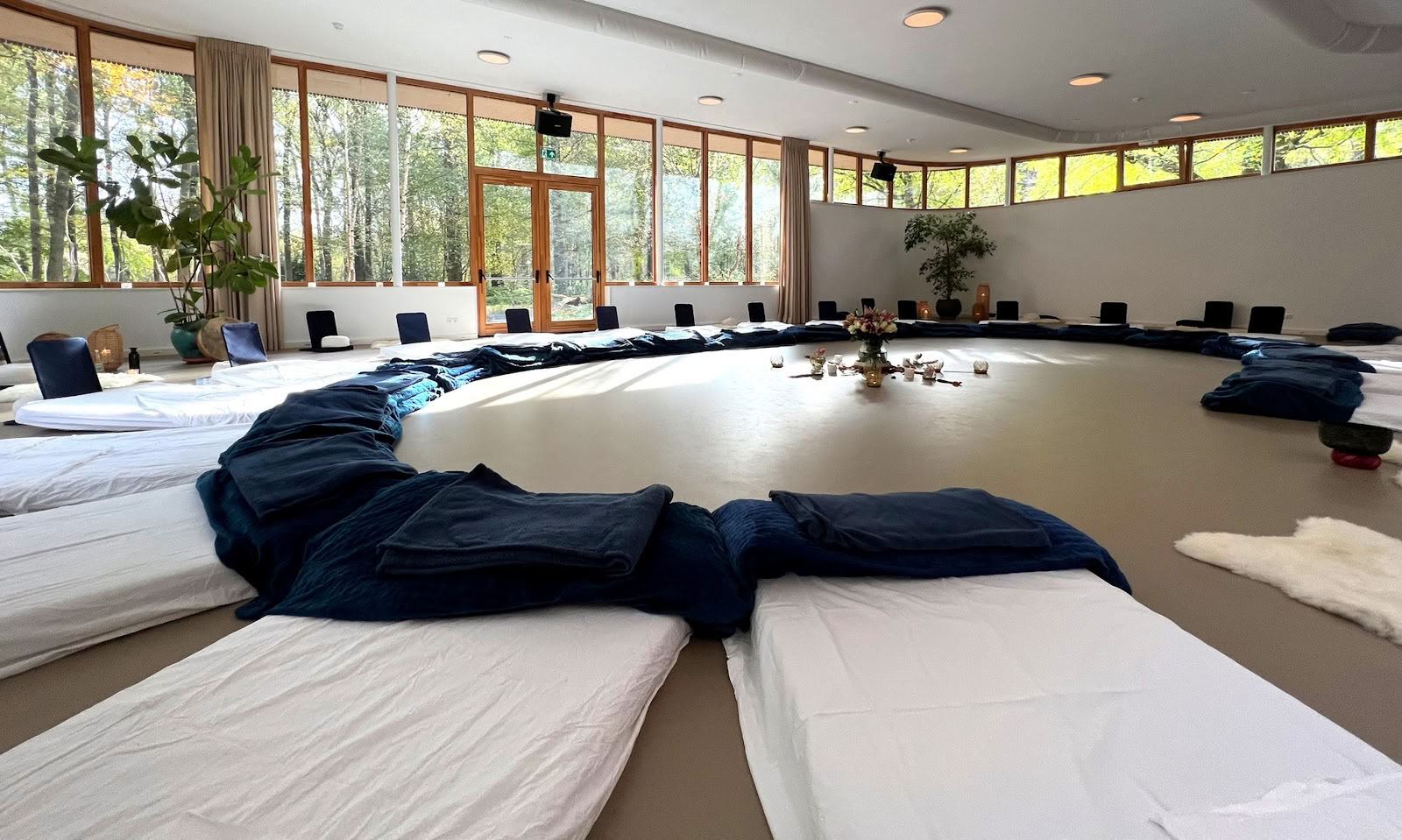 Anima Healing Instituut