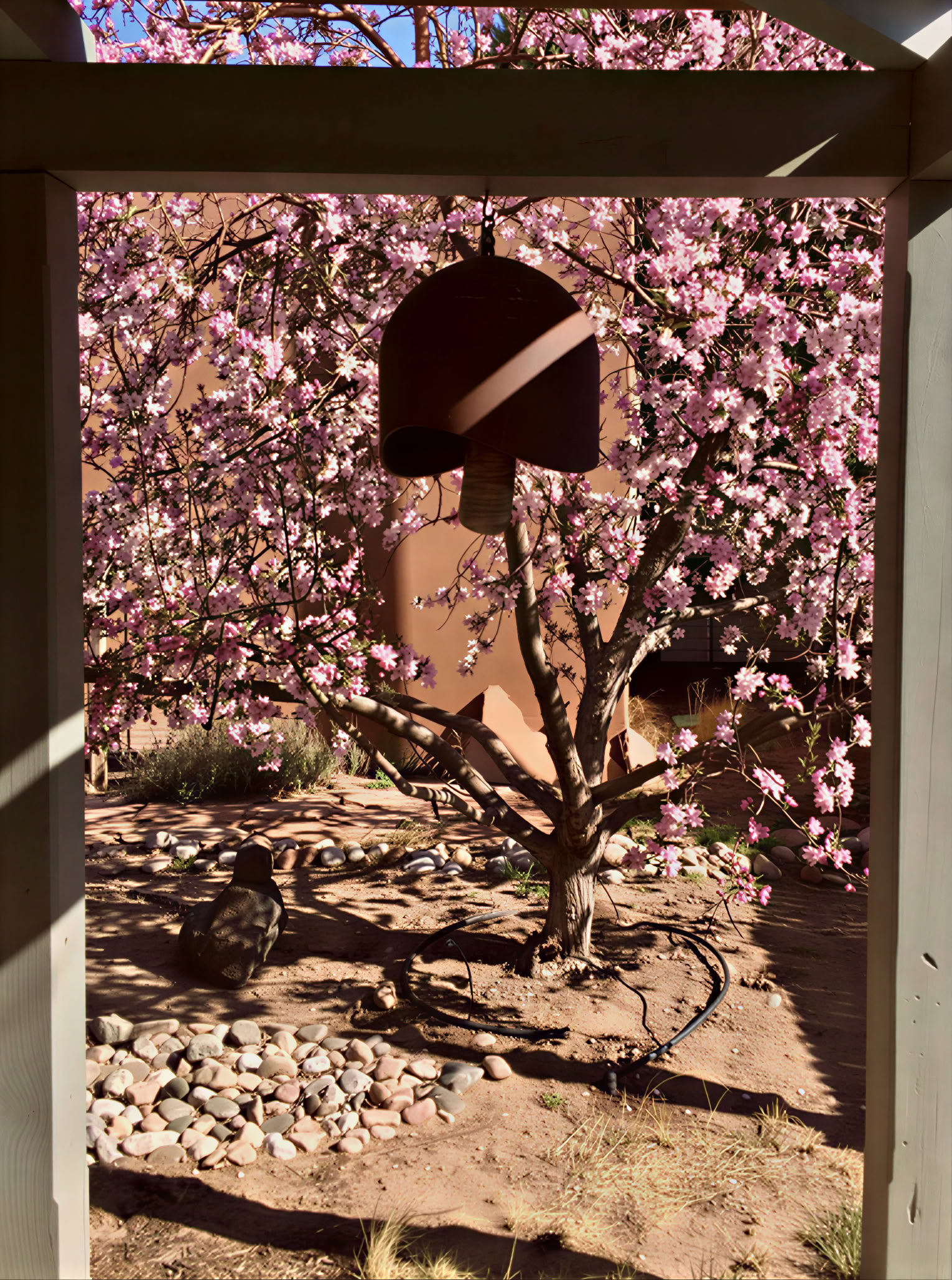 Albuquerque Zen Centrum