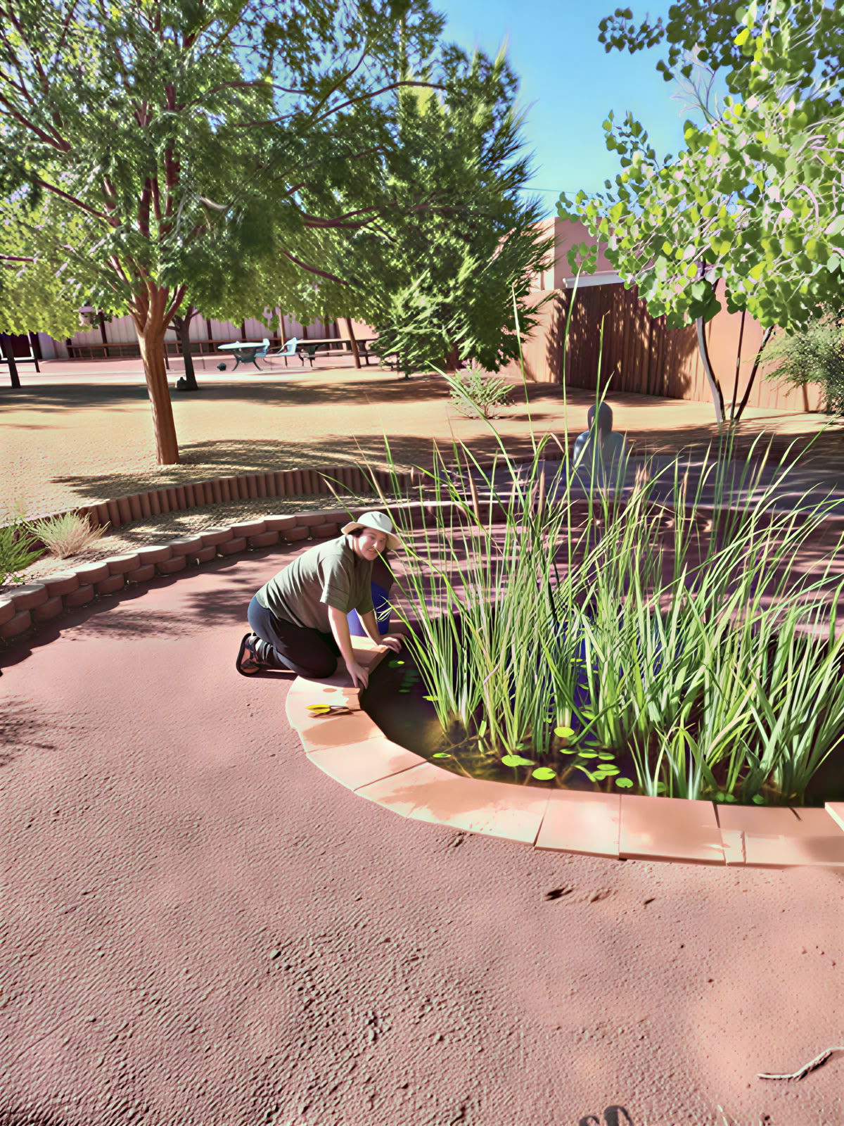 Albuquerque Zen Centrum