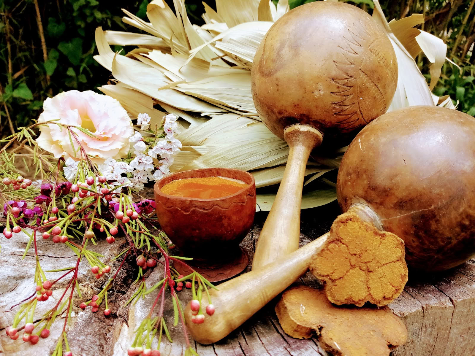 Zonnegenezing - Ayahuasca-ceremonie