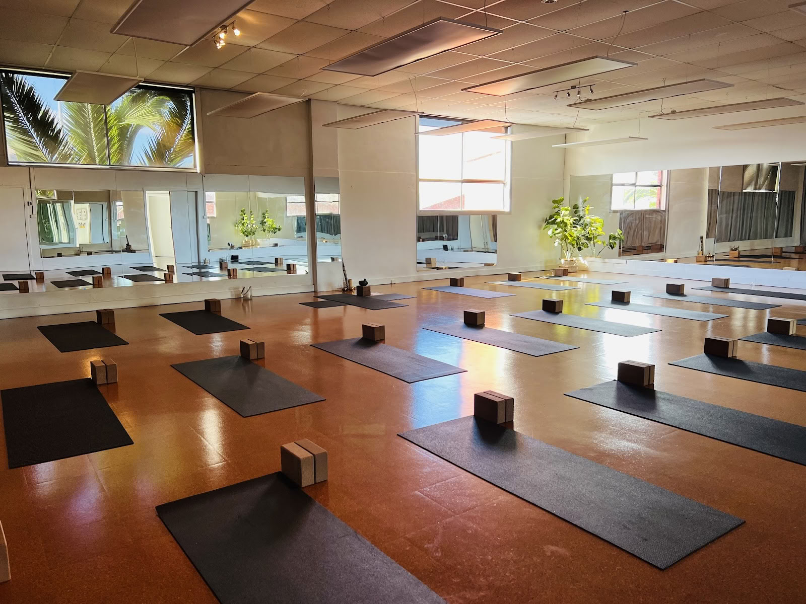 Graswortels Yoga + Pilates