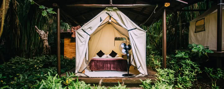Platform Tent with No A/C – Queen Bed Only